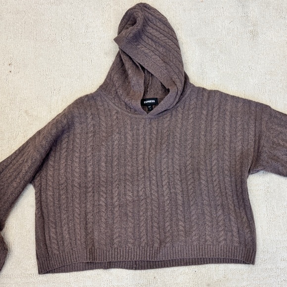Express Sweaters - Express Brown Cable Knit Sweater